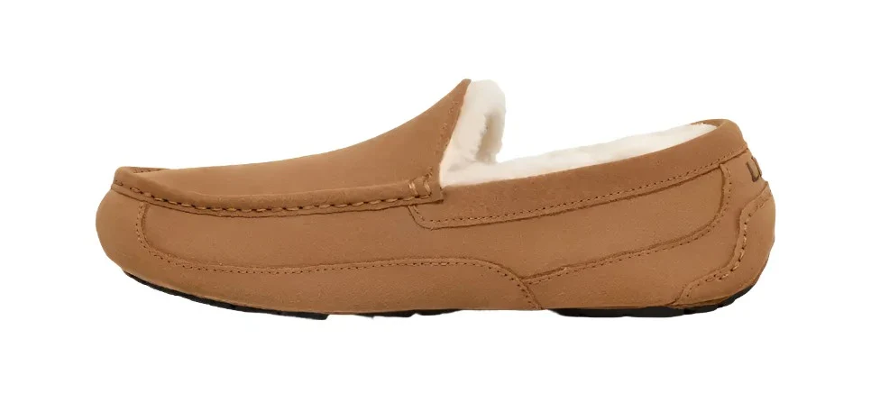 UGG ASCOT MEN'S - Image 3