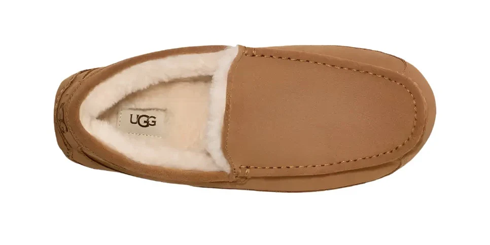 UGG ASCOT MEN'S - Image 4