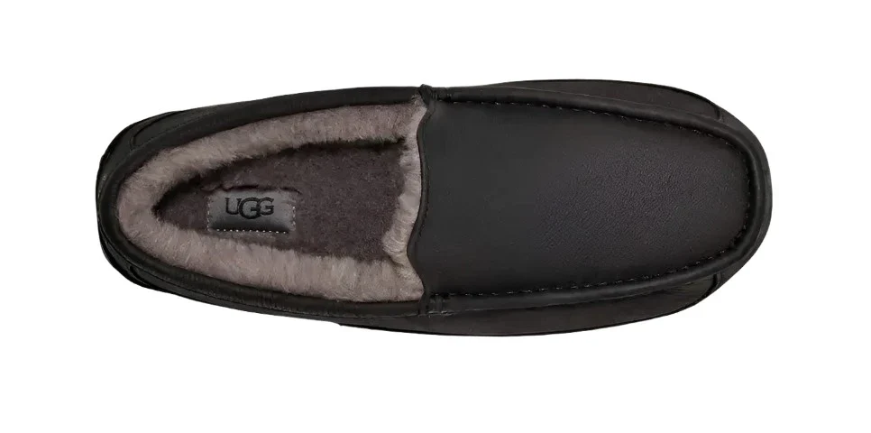 UGG ASCOT MEN'S - Image 4